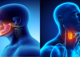 Difference between ENT Head and Neck Surgery and Head and Neck Surgery