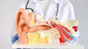 When to visit an ENT Head and Neck Surgeon - early signs and symptoms