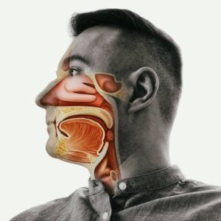 turbinate-hypertrophy-allergies-breathing